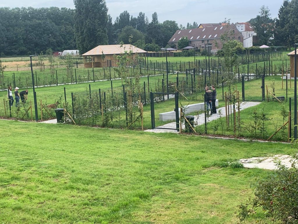 Société Royale Protectrice des Animaux Veeweyde à Bruxelles